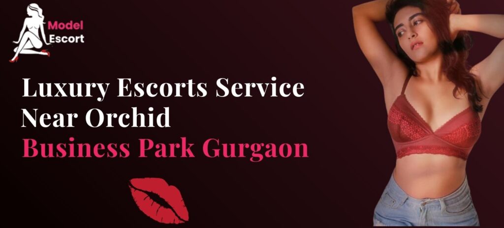 escort service near orchid business park gurgaon