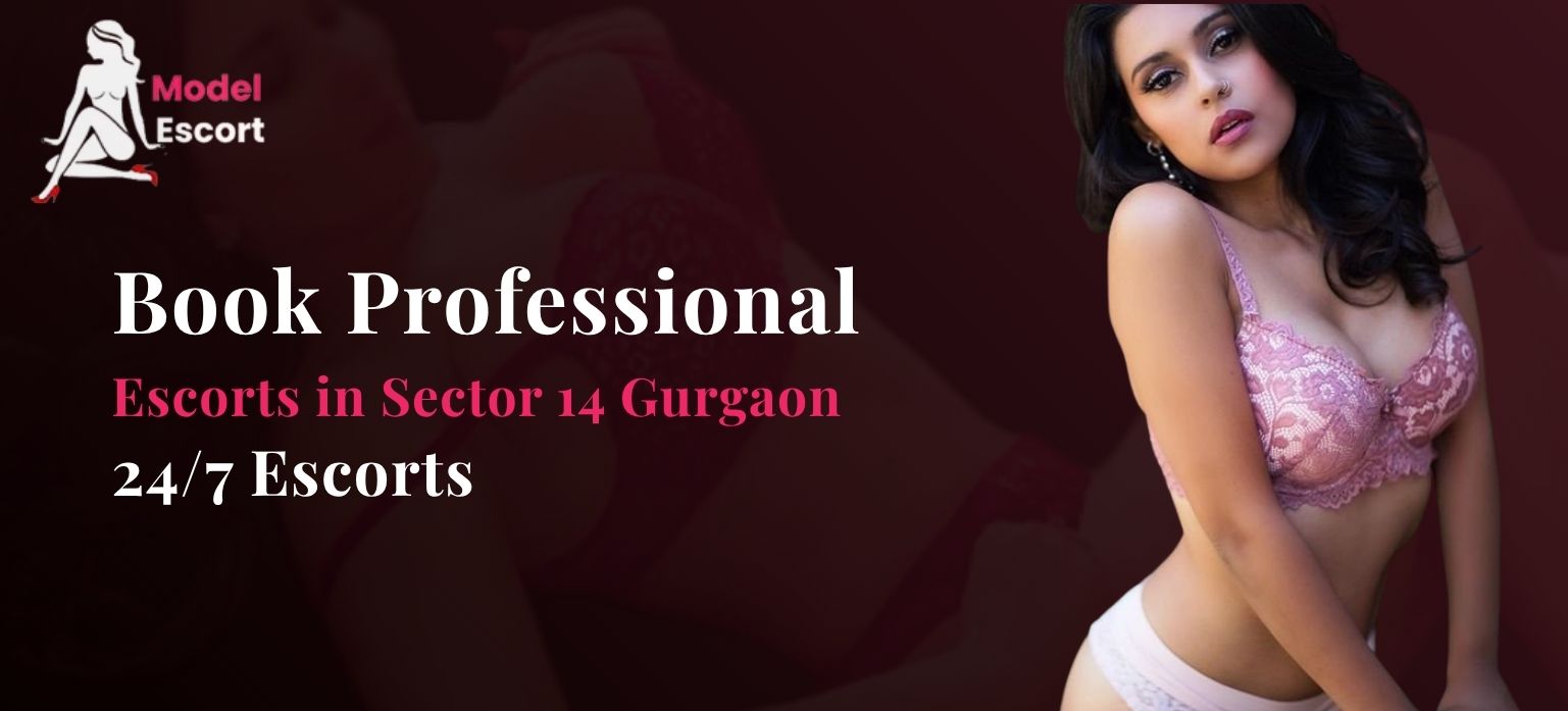 Book Professional Escorts in Sector 14 Gurgaon